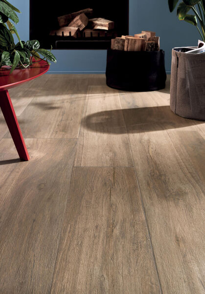 Ceramicvision Silvis