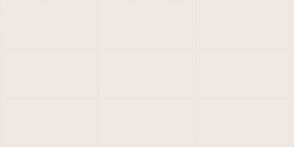 Marca Corona 4D White 40x80 cm Wandfliese Plain Matt Eben Naturale E829 Prints