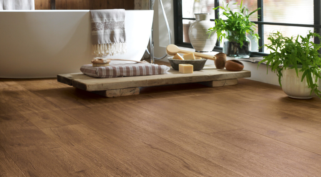 ragno-woodtale-quercia