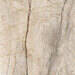 Imola Ceramica The Room San Pedro