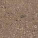 Marazzi Mystone Ceppo di Gré Grey