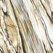 Imola Ceramica The Room Calacatta Oyster