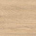 Atlas Concorde Log Icon Oak