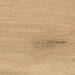 Atlas Concorde Log Outdoor Amber Oak Forest