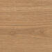 Atlas Concorde Log Outdoor Amber Oak Forest