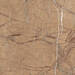 Imola Ceramica The Rock Outdoor Forest Gold