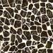Imola Ceramica The Room Turtle