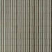 Ragno Glace Raye Muschio