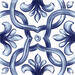 Ragno Amuri Maiolica Tappeto 2