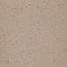 Ragno Galassia Canapa New
