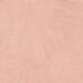 Sant Agostino Iro Rose