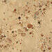 Fioranese I Cocci Siciliani Outdoor Naturale