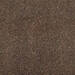 Coem Porfirica Brown