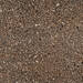Coem Porfirica Aglo Brown