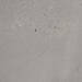 Sant Agostino Duo Front Taupe