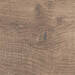 Ragno Nodis Rovere