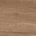 Ragno Woodessence Walnut