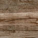 Ragno Woodmania Musk