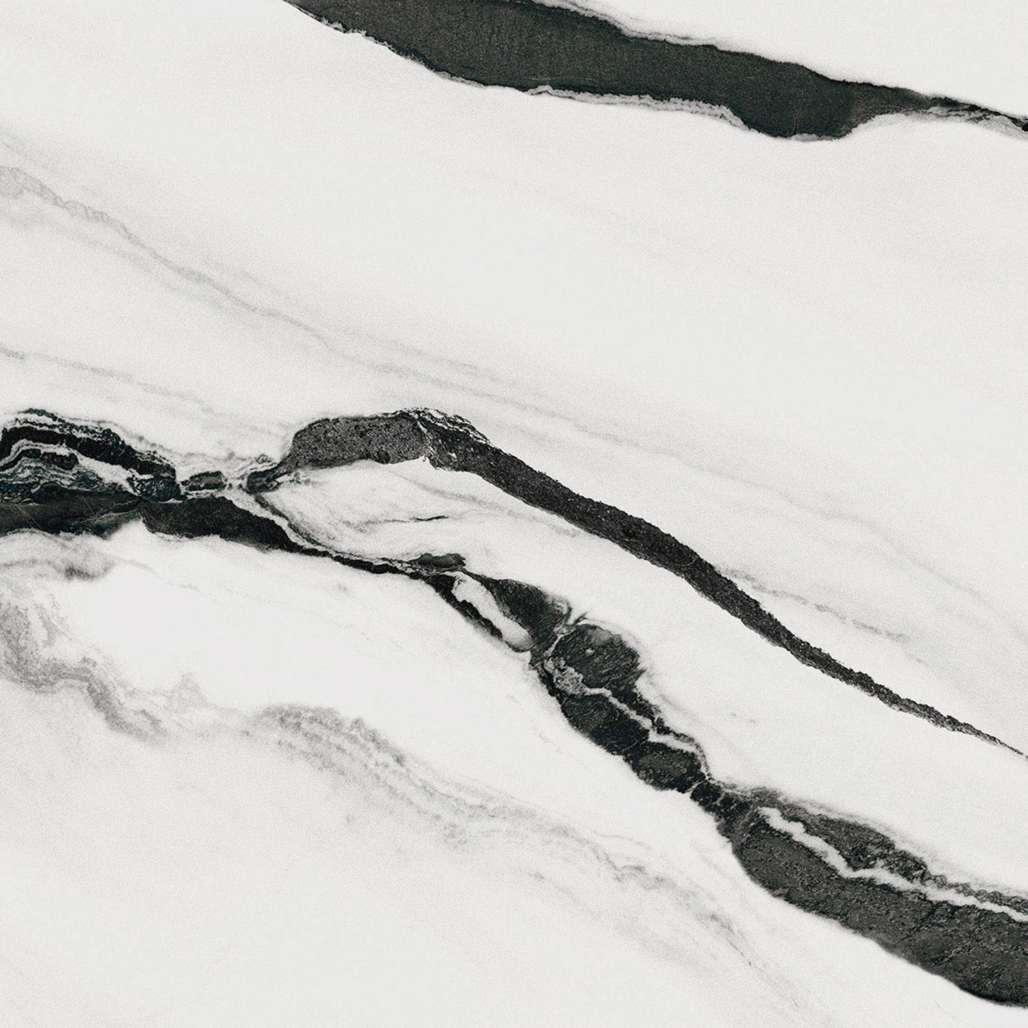 Imola Ceramica The Room Bodenfliese Stärke: 6,5 mm 120x120 Panda White PAN WH6 120 RM (171375)