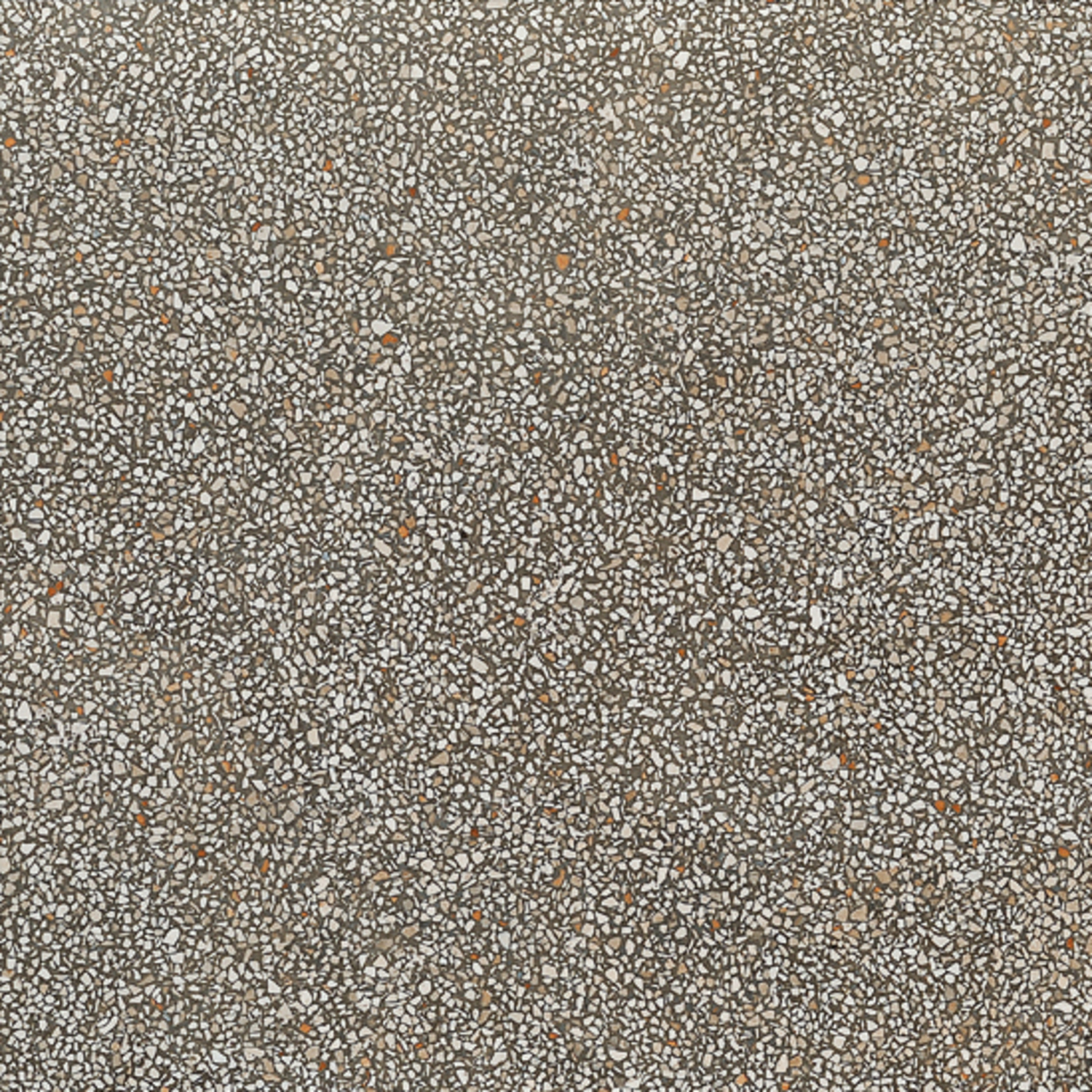 Coem Terrazzo Bodenfliese Mini 60x60 Beton TZ600LR