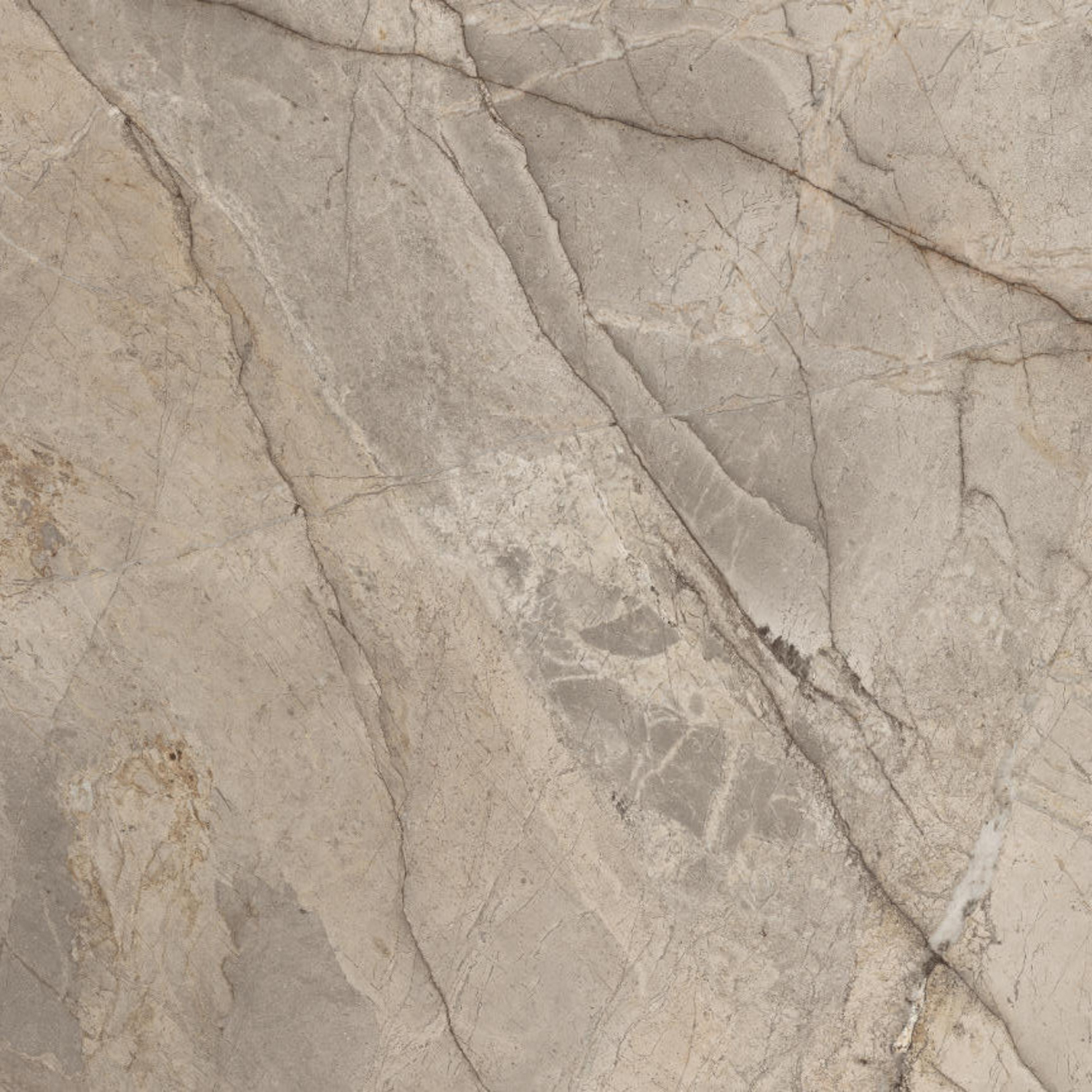 Imola Ceramica The Rock Bodenfliese 90x90 Fior di Bosco FIBOSC 90 RM (193681)