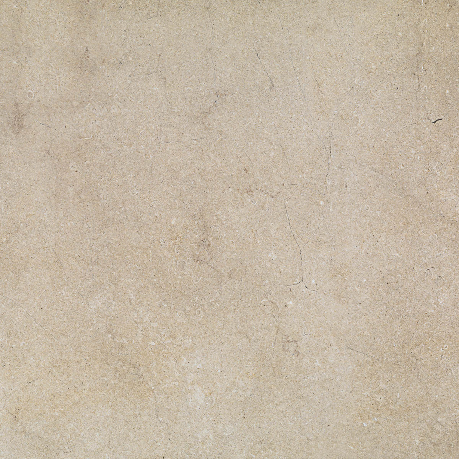 Ragno Realstone_Jerusalem Bodenfliese 75x75 Noce R05A