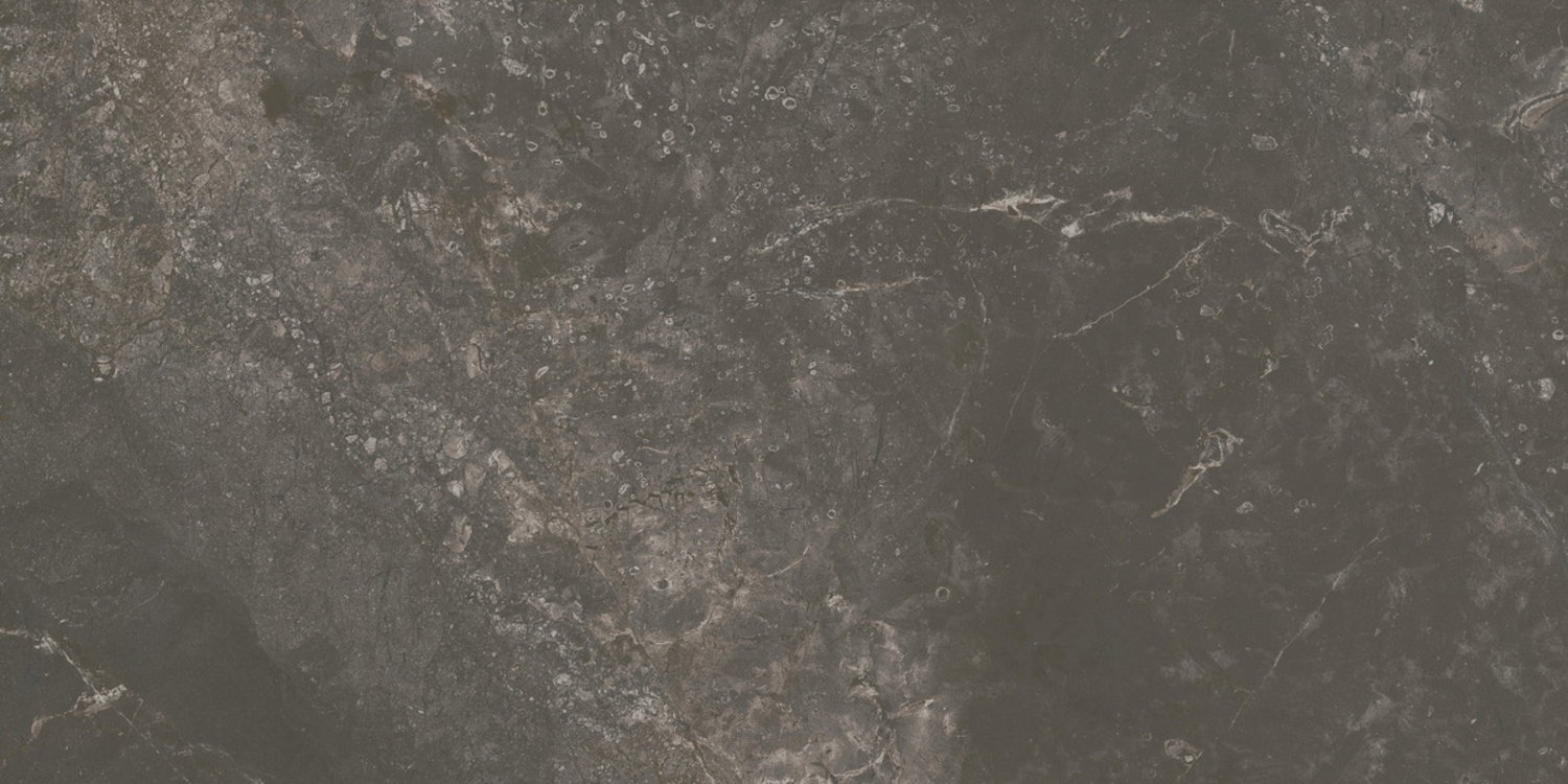Ariostea Twin.s Bodenfliese 60x120 Licorice P612696