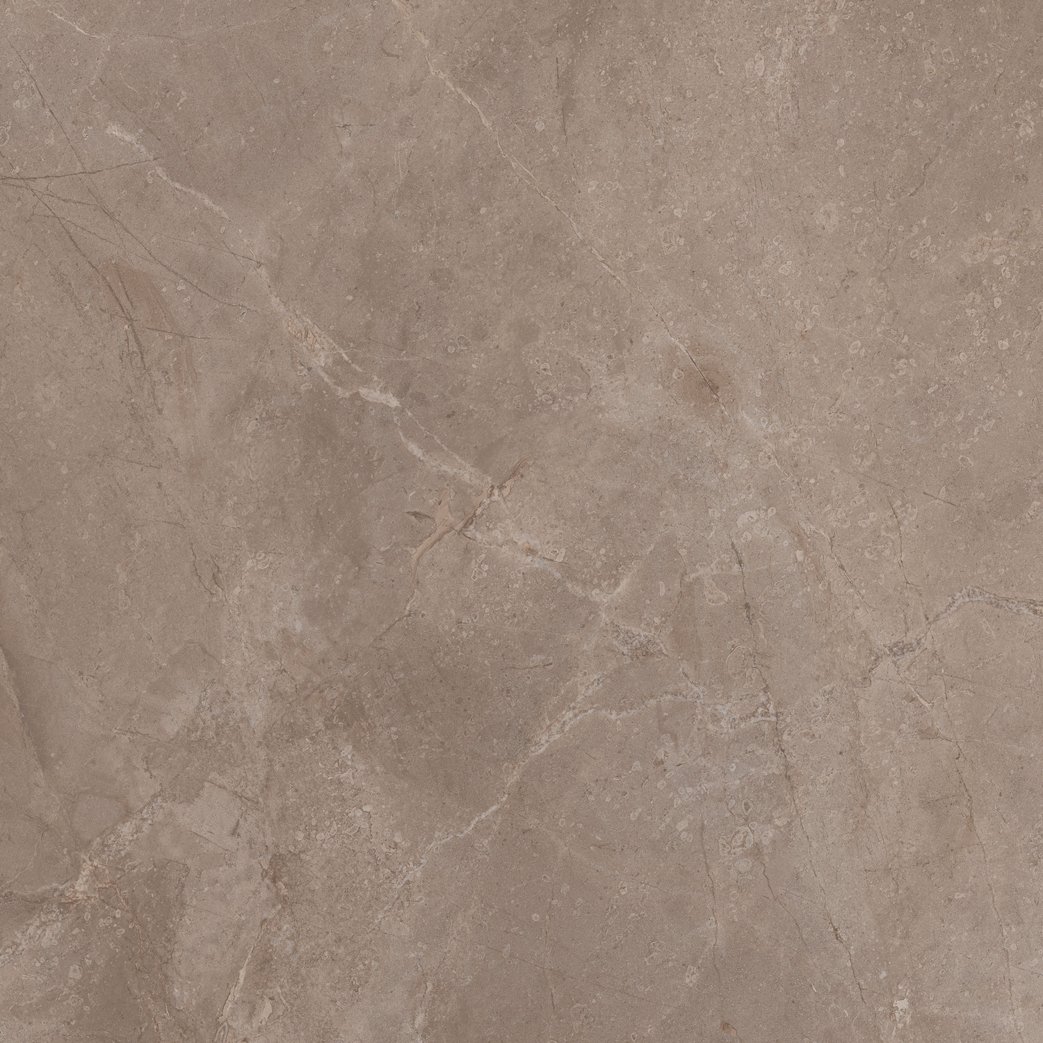 Margres Prestige Bodenfliese 90x90 Fior Di Bosco Tortora 99PT4 NR