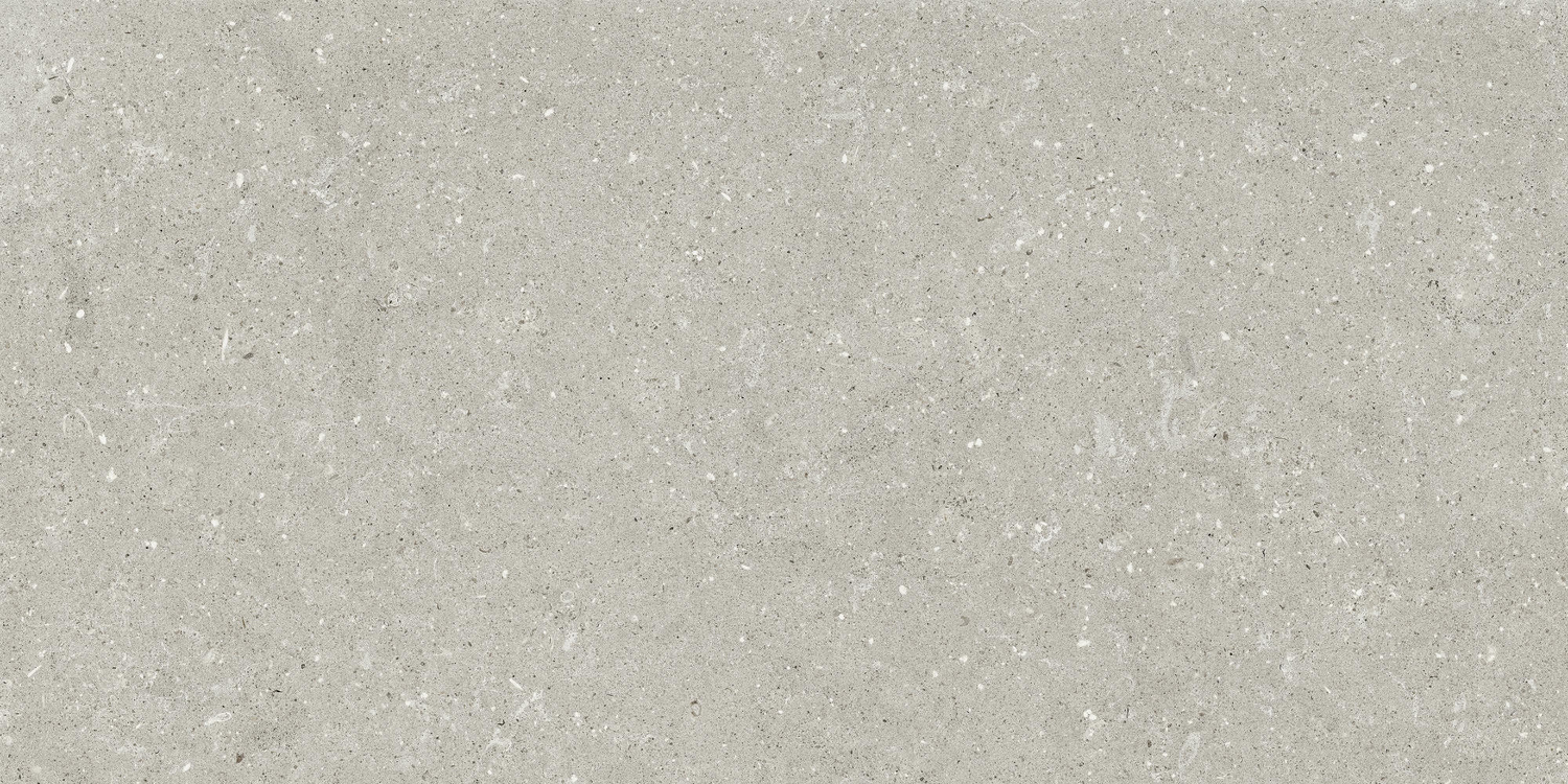Del Conca Wild Bodenfliese 60x120 Grey GCWD05R
