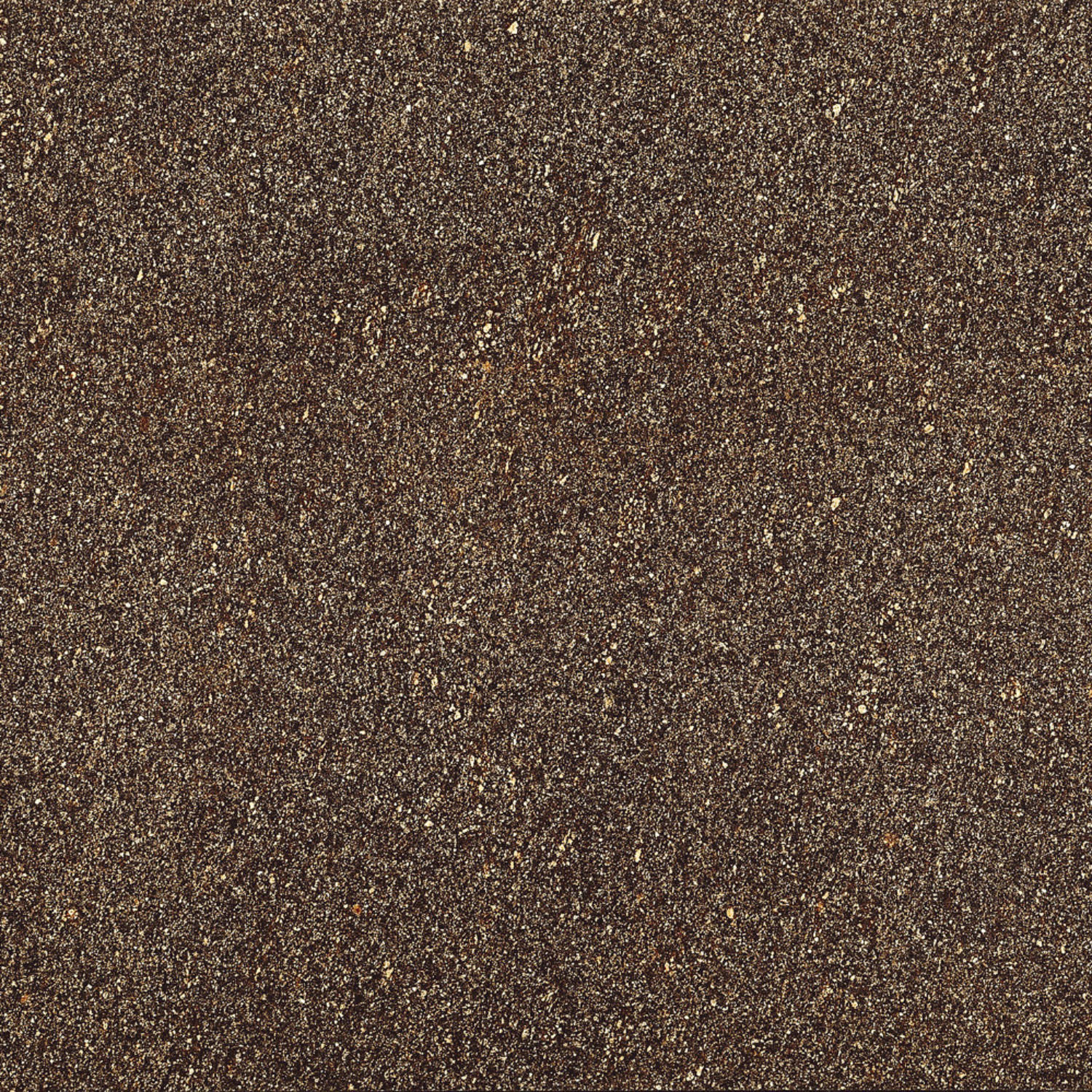 Coem Porfirica Bodenfliese 60x60 Brown PO608R