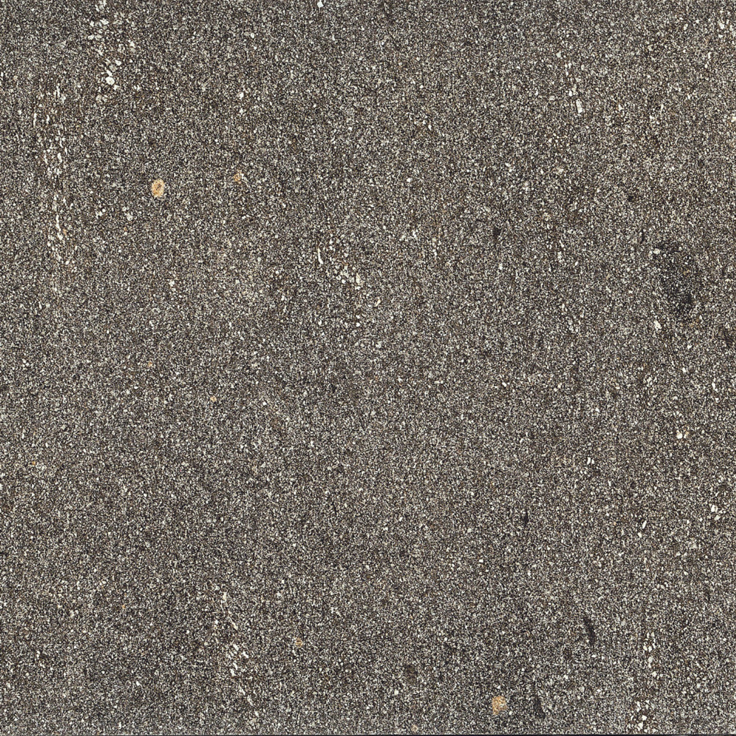 Coem Porfirica Bodenfliese 75x75 Graphite PO757R