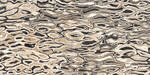 Imola Ceramica The Room ghepard 60x120cm Dekor