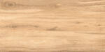 Keraben Naturwood malt 60x120cm Bodenfliese