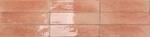 Dune Ceramica Agadir amaranto 7x28 cm Wandfliese glänzend strukturiert gloss 188760 | 1