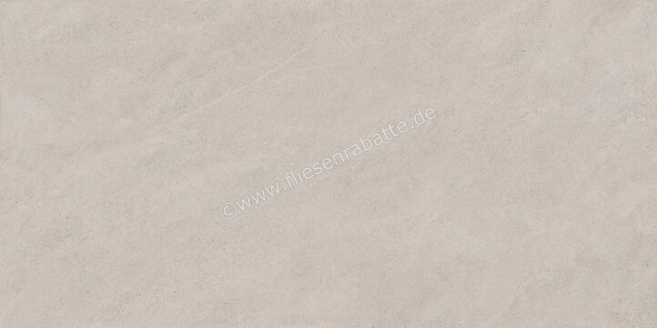 Margres Concept Light Grey 45x90 cm Bodenfliese / Wandfliese Anpoliert Eben A 49CT3A | 108237