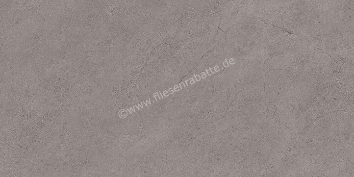 Margres Concept Grey 30x60 cm Bodenfliese / Wandfliese Anpoliert Eben A 36CT4A | 108318