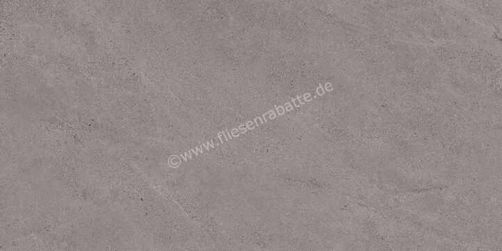 Margres Concept Grey 45x90 cm Bodenfliese / Wandfliese Anpoliert Eben A 49CT4A | 108405