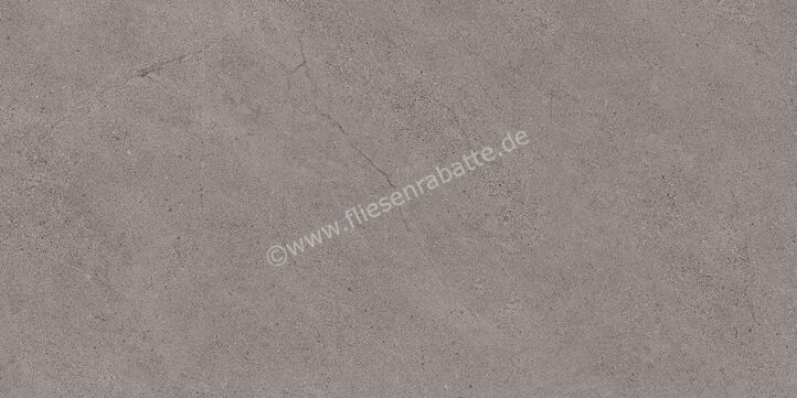 Margres Concept Grey 45x90 cm Bodenfliese / Wandfliese Anpoliert Eben A 49CT4A | 108408