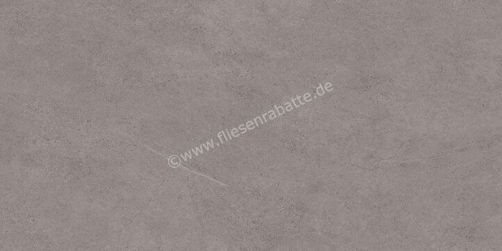 Margres Concept Grey 45x90 cm Bodenfliese / Wandfliese Anpoliert Eben A 49CT4A | 108414