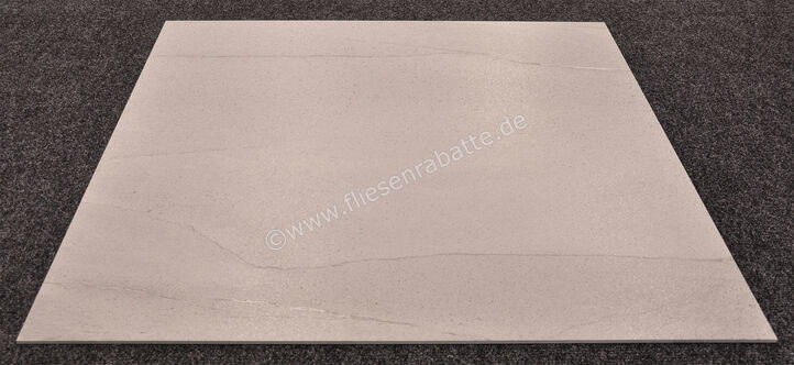 Ariostea Ultra Pietre Basaltina Grey 100x100 cm Bodenfliese / Wandfliese Matt Eben Naturale UP6S100443 | 13019