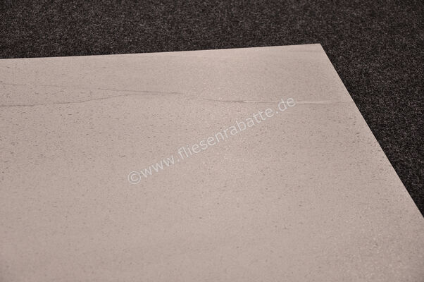 Ariostea Ultra Pietre Basaltina Grey 100x100 cm Bodenfliese / Wandfliese Matt Eben Naturale UP6S100443 | 13020