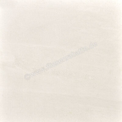 Ariostea Ultra Pietre Basaltina White 100x100 cm Bodenfliese / Wandfliese Matt Eben Naturale UP6S100446 | 13039
