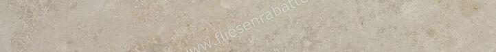 Steuler Limestone Beige 8x75 cm Sockel Matt Eben Natural Y75176001 | 19643