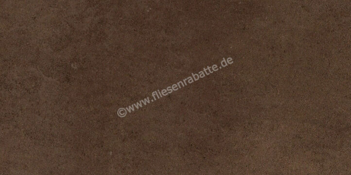 Imola Ceramica Micron 2.0 Brown T 30x60 cm Bodenfliese / Wandfliese Glänzend Eben Levigato M2.0 36TL | 225121