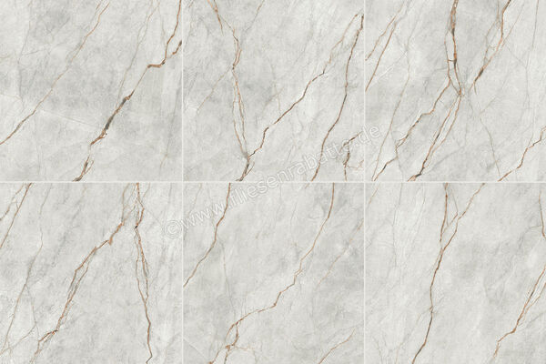Imola Ceramica The Room Grey Roots Gre Ro 120x120 cm Bodenfliese / Wandfliese Stärke: 6,5 mm Matt Eben Naturale GRE RO6 120 RM | 233018