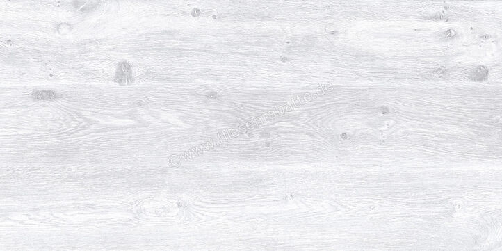 Keraben Naturwood Ice 60x120 cm Bodenfliese / Wandfliese Matt Strukturiert Naturale P0003100 | 243754