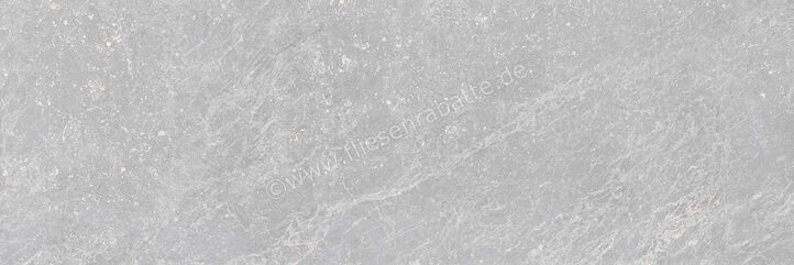 Keraben Bleuemix Grey 40x120 cm Wandfliese Matt Eben Naturale R0001634 | 254554