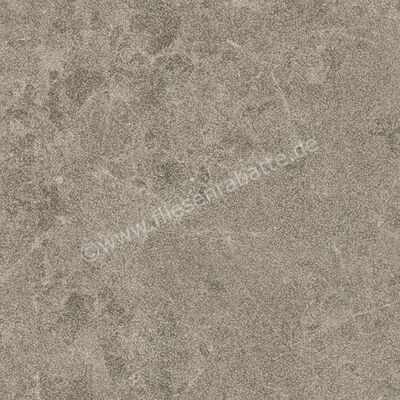 Margres Pure Stone Grey 60x60 cm Bodenfliese / Wandfliese Anpoliert Eben Amaciado 66PS4A | 258148