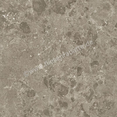 Margres Pure Stone Grey 60x60 cm Bodenfliese / Wandfliese Matt Eben Natural 66PS4NR | 258160