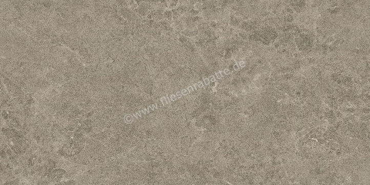 Margres Pure Stone Grey 30x60 cm Bodenfliese / Wandfliese Anpoliert Eben Amaciado 36PS4A | 258700